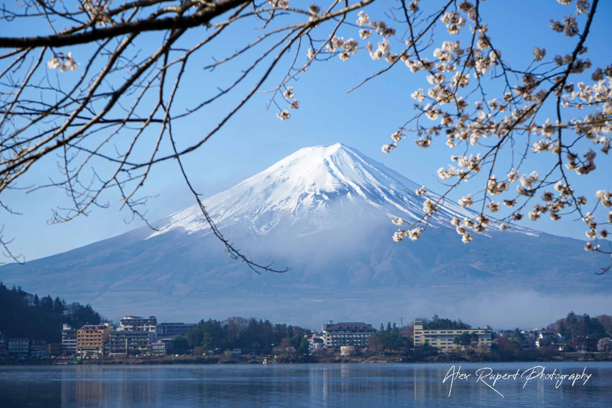 AlexRupertPhotography-132